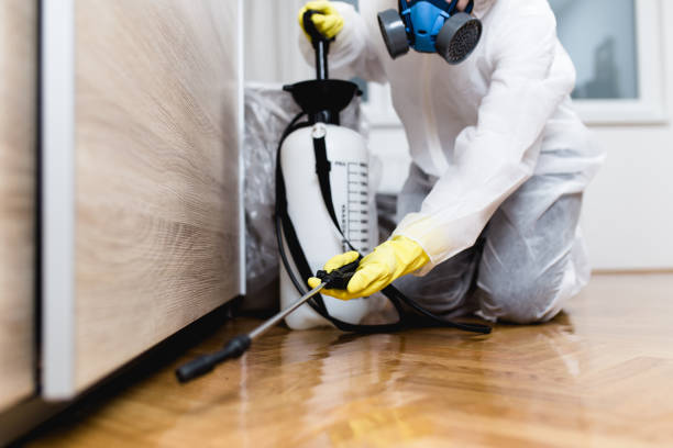  Hinesville, GA Pest Control Pros
