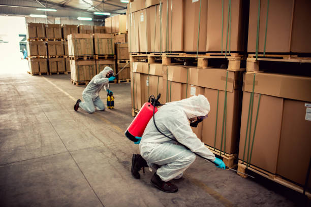 Best Emergency Pest Control  in Hinesville, GA
