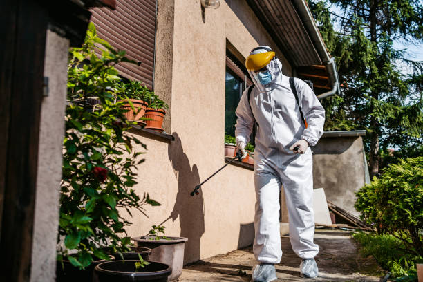 Best Affordable Pest Control Services  in Hinesville, GA