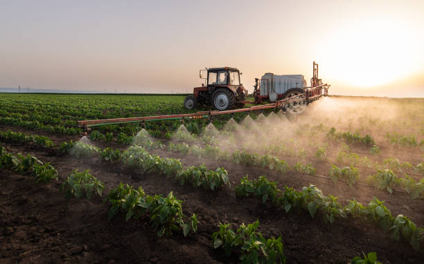 Best Mosquito Control Services  in Hinesville, GA