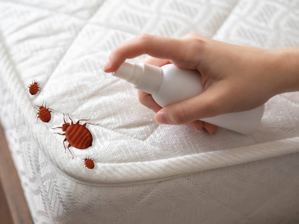 Best Affordable Pest Control Services  in Hinesville, GA